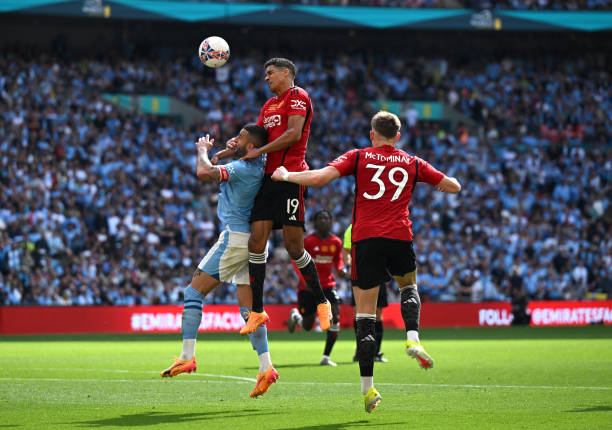 性展示了体 性展示了体